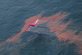 Entire Gulf of Mexico Reopened to Fishing a Year After BP Spill ...