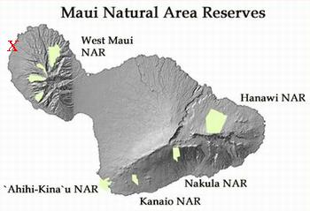 The red “X” marks the approximate location of Kahekili Beach on this map of Maui. (Map courtesy Hawaii DLNR)