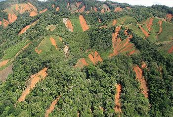 Colombia landslides