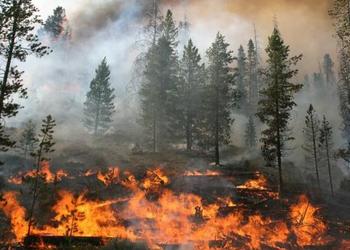 Idaho Wildfire