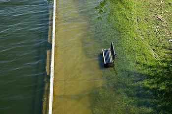 Potomac flood