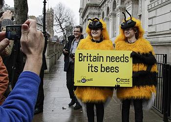 bee demonstrators