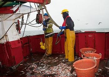 Coveney, trawler