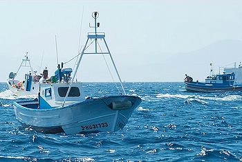 fishing boats