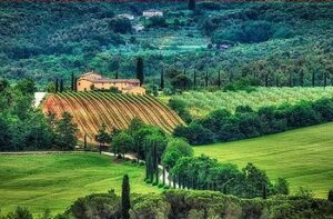 A farm in Tuscany (Photo by Sebastian Buel)