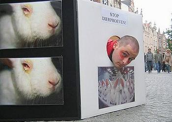 animal testing demo