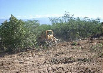 Bulldozer clears the Biological Reserve, July 17, 2013 (Photo courtesy Grupo