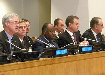 UN panel