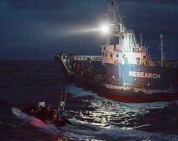 The Bob Barker’s small boat launches defence during night attack from harpoon vessels, Feb. 23, 2014 (Photo by Simon Agar courtesy Sea Shepherd)