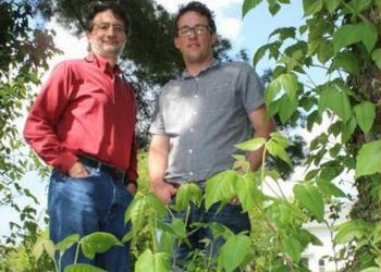John Jelesko, left, and Matt Kasson in the Virginia Tech College of Agriculture and Life Sciences have discovered a way to kill poison ivy naturally. (Photo courtesy Virginia Tech)