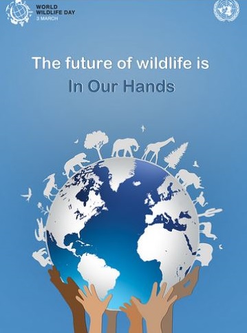 Youth Forum for People and Wildlife Spans 25 Countries |
