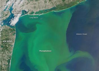 algal blooms from space