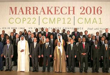 COP22