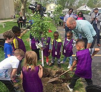 tree planting