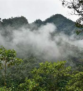 Ecuador