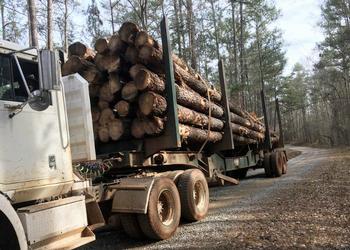 log truck