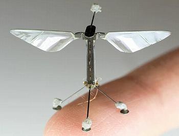 RoboBee