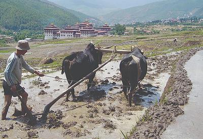 Bhutan