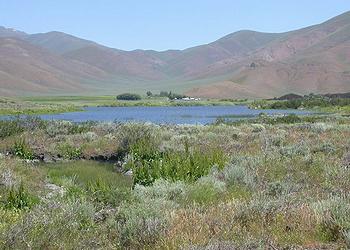 sagebrush steppe