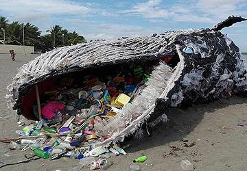 Plastic waste found chemically bonded to rocks in China