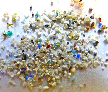 microbeads