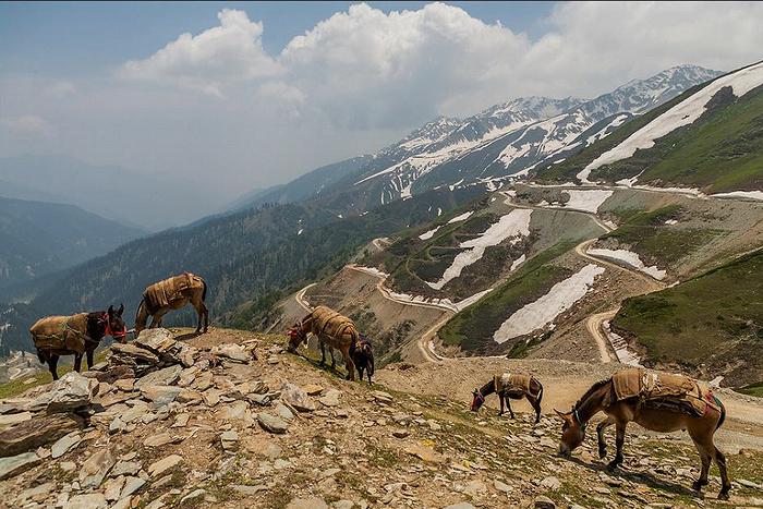 Jammu & Kashmir