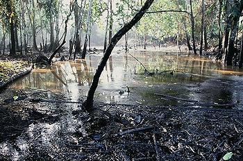 oil Ecuador