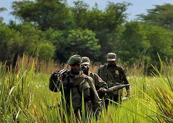 Virunga rangers