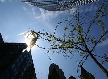 plastic bag Toronto