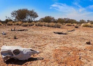 drought Australia