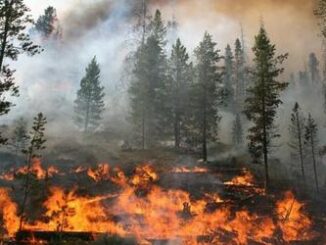Idaho Wildfire