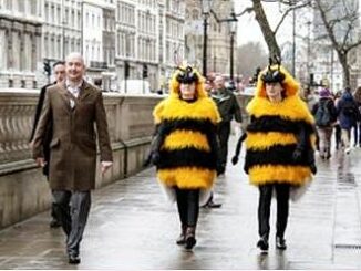 bee demonstrators