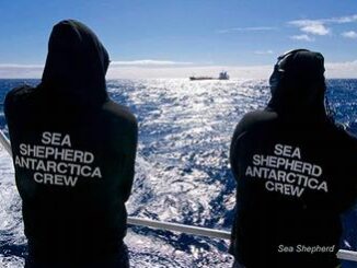 Sea Shepherd crew