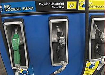 biodiesel pump