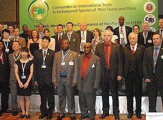 enforcement officers