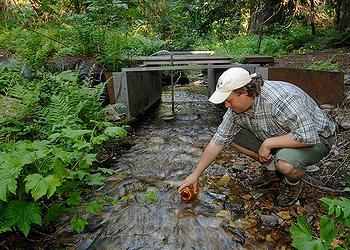 stream sampling