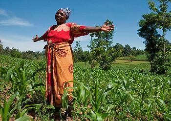 maize farmer