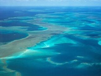 reef