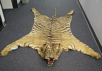 tiger skin