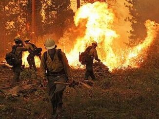fire