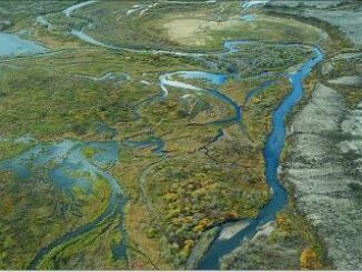 Bristol Bay watershed