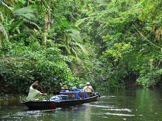 Yasuni