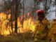 firefighters