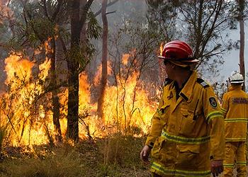 firefighters