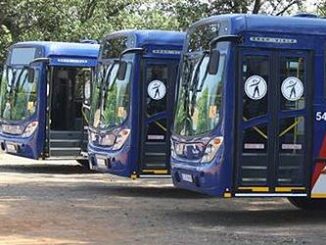 buses