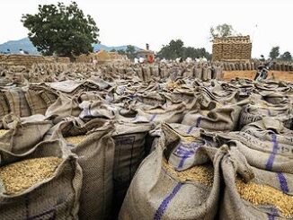 grain