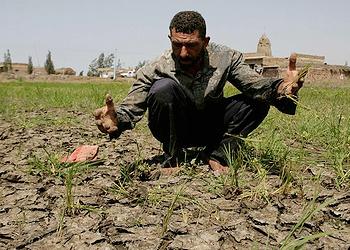 drought Egypt