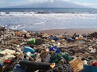 debris