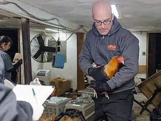 cock rescue