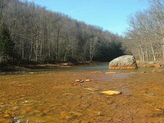 water pollution